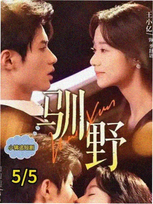 剧集长夜灯火封面图