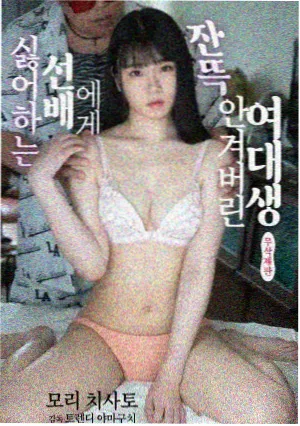 剧集雾港回声封面图